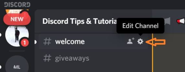 Channel settings,How To Add Emojis to Discord channel names?