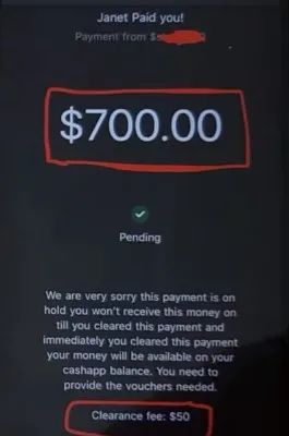 Fake cash app screenshot