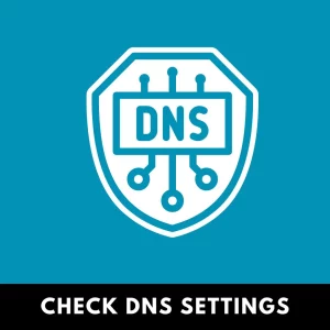 checking dns settings