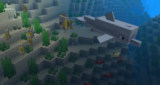 dolphins in minecraft